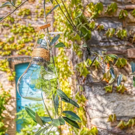 Hilltop In The Dreamy Orvieto Countryside Villa *